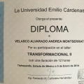 Ampliar imagen: certificate 22