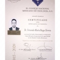 Ampliar imagen: certificate 2