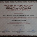 Ampliar imagen: certificate 7