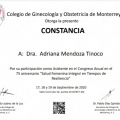 Ampliar imagen: certificate 4