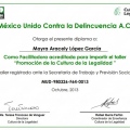 Ampliar imagen: certificate 22