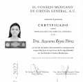 Ampliar imagen: certificate 1