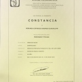 Ampliar imagen: certificate 9