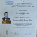 Ampliar imagen: certificate 1