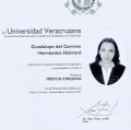 Ampliar imagen: certificate 5