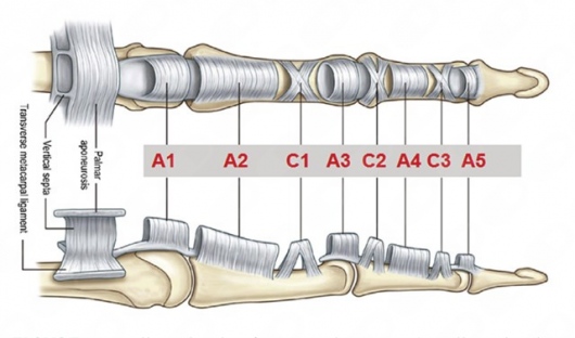 Oscar Fernando Orozco Romo-11