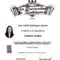 Ampliar imagen: certificate 6