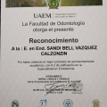 Ampliar imagen: certificate 14