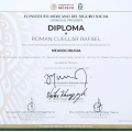 Ampliar imagen: certificate 8
