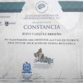 Ampliar imagen: certificate 5