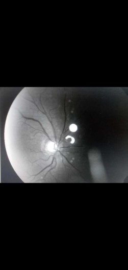 Karla Paola Chaparro Hernández-5