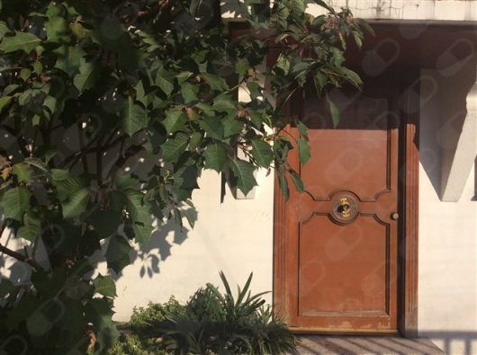 María Guadalupe Sumaya Martínez-4