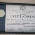 Ampliar imagen: certificate 5