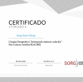 Ampliar imagen: certificate 27