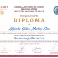 Ampliar imagen: certificate 7