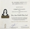 Ampliar imagen: certificate 5