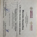 Ampliar imagen: certificate 3