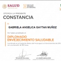 Ampliar imagen: certificate 7