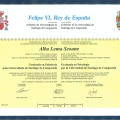 Ampliar imagen: certificate 1