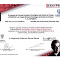 Ampliar imagen: certificate 32