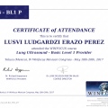 Ampliar imagen: certificate 4