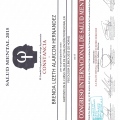 Ampliar imagen: certificate 4