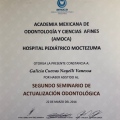 Ampliar imagen: certificate 10