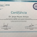 Ampliar imagen: certificate 5