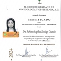 Ampliar imagen: certificate 1