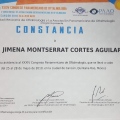 Ampliar imagen: certificate 4
