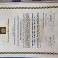 Ampliar imagen: certificate 7