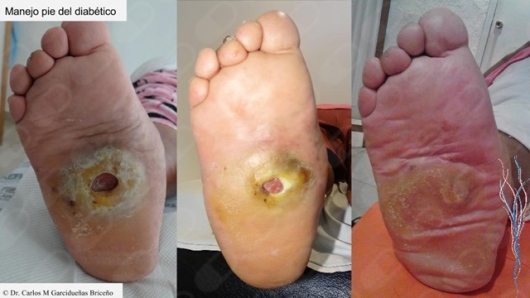 Carlos Mario Garcidueñas Briceño-7