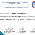 Ampliar imagen: certificate 4