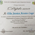 Ampliar imagen: certificate 7