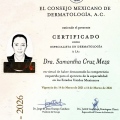 Ampliar imagen: certificate 6