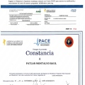 Ampliar imagen: certificate 9