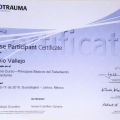 Ampliar imagen: certificate 13