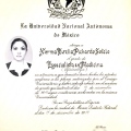 Ampliar imagen: certificate 5