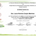 Ampliar imagen: certificate 19