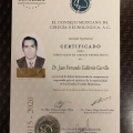 Ampliar imagen: certificate 2