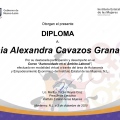 Ampliar imagen: certificate 6