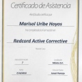 Ampliar imagen: certificate 28