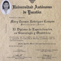 Ampliar imagen: certificate 2