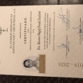 Ampliar imagen: certificate 1