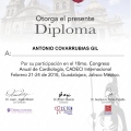 Ampliar imagen: certificate 13