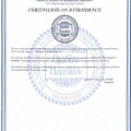Ampliar imagen: certificate 3