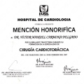 Ampliar imagen: certificate 5