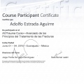 Ampliar imagen: certificate 4