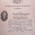 Ampliar imagen: certificate 2