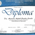 Ampliar imagen: certificate 29